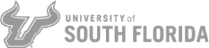 University of South Florida